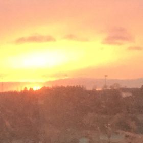 Profile Picture of Leah Williams (@leahs_w) on Pinterest