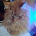 Profile Picture of David Clover (@david.clover.33671) on Facebook