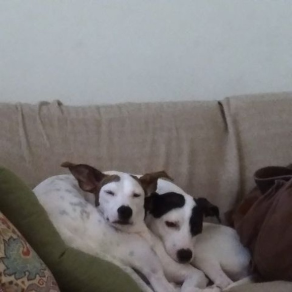 Profile Picture of Katherine Villemarette (@kateville113) on Poshmark