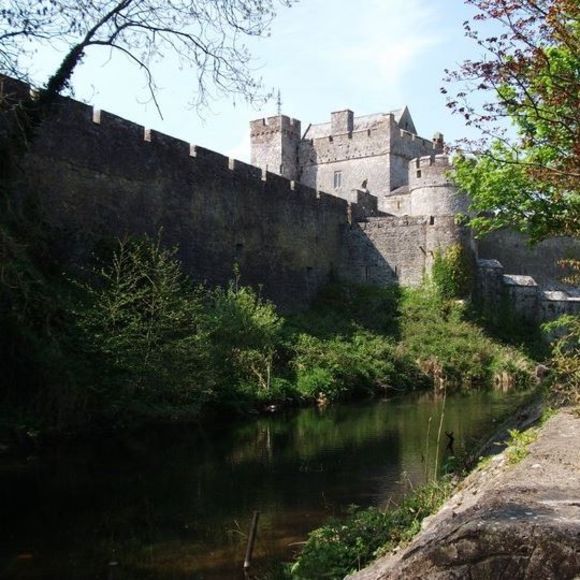 Profile Picture of Debbie Riegelsperger (@driegelsperger) on Poshmark