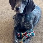 Profile Picture of Jeff Lewandowski (@lewandowskijeff) on Instagram