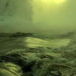 Profile Picture of Maximilian Roscoe Bishop (@xhibishion) on Instagram