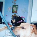 olivia harter - Instagram Profile Picture of olivia harter (@olivia_._.duh) on Instagram