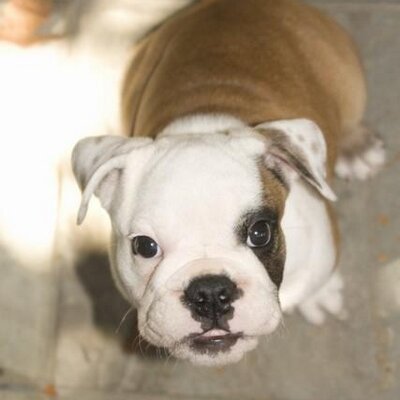 Profile Picture of Douglas Kilgore (@1worldsolution) on Twitter
