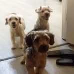 Profile Picture of Albert Atchison (@albert.atchison.7) on Facebook