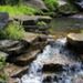 Profile Picture of Nick Appel (@dinonick308) on Pinterest