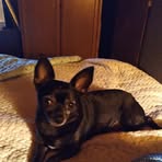 Profile Picture of Terrie Sampson (@terrie.sampson.2025) on Facebook