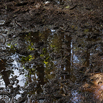 Stefan Groenewoud - Flickr Profile Picture of Stefan Groenewoud (@stefangroenewoud) on Flickr