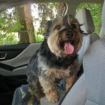 Profile Picture of Christopher Duntsch (@christopher.duntsch) on Instagram