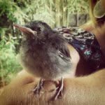 Profile Picture of Brittney Wilkinson (@brittneywilkinson) on Instagram