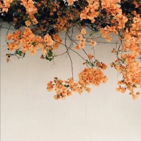 Kara Kaneshiro - Poshmark Profile Picture of Kara Kaneshiro (@karkane) on Poshmark