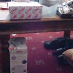 Tannethfishwick - Instagram Profile Picture of Tannethfishwick (@clairefishwick9) on Instagram