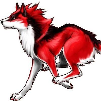Profile Picture of Joy Mayer (@Silverwolf265) on Twitter