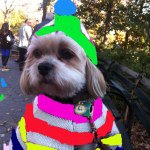 Profile Picture of Mike tenney (@michaeljpt) on Instagram