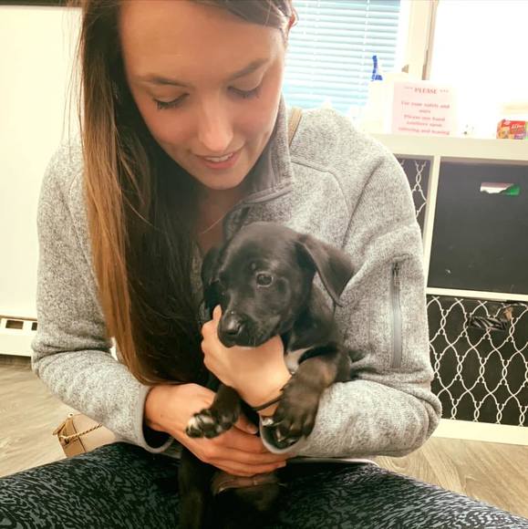 Kristen Pesavento - Poshmark Profile Picture of Kristen Pesavento (@krisss10xo) on Poshmark