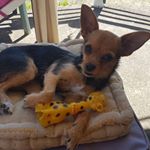 Profile Picture of Christian Michaud (@christian.michaud.7528) on Instagram