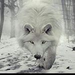 Profile Picture of Chris Bartee (@chris.bartee) on Instagram