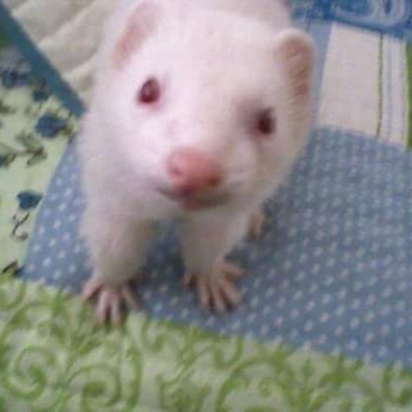 Profile Picture of Amy Closen (@abclosen) on Poshmark