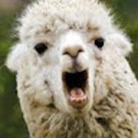 Profile Picture of Steve Serrano (@steve-serrano-11) on Quora