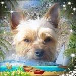 Profile Picture of Chantal Guyon (@chantal.guyon.5) on Instagram