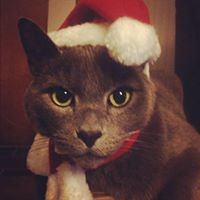 Profile Picture of Dyan Bailey (@dyan-bailey-1) on Quora