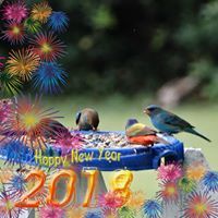 Sylvia Bone - Pinterest Profile Picture of Sylvia Bone (@bone3677) on Pinterest