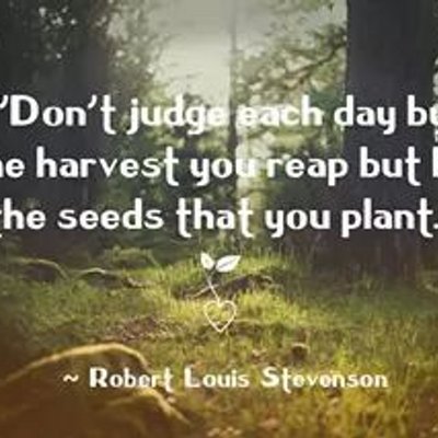 Ann M Sandor - Twitter Profile Picture of Ann M Sandor (@annsrusticshop) on Twitter