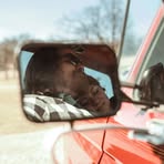 Profile Picture of Marion Holcomb (@marion.holcomb) on Facebook