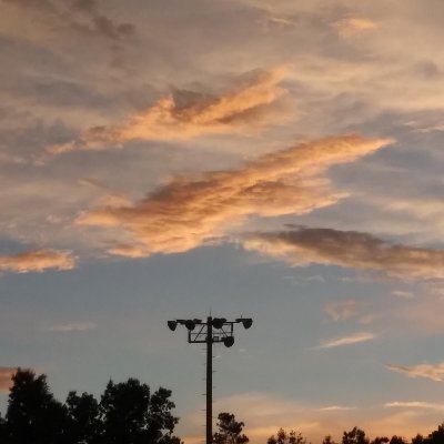 Profile Picture of Bill Giese (@RichmWorkcamp) on Twitter
