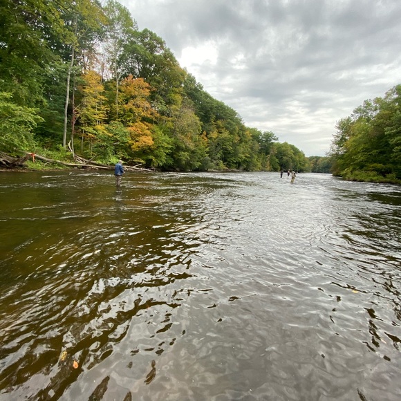 Profile Picture of Paul Bowman (@bowmanpaul30) on Poshmark