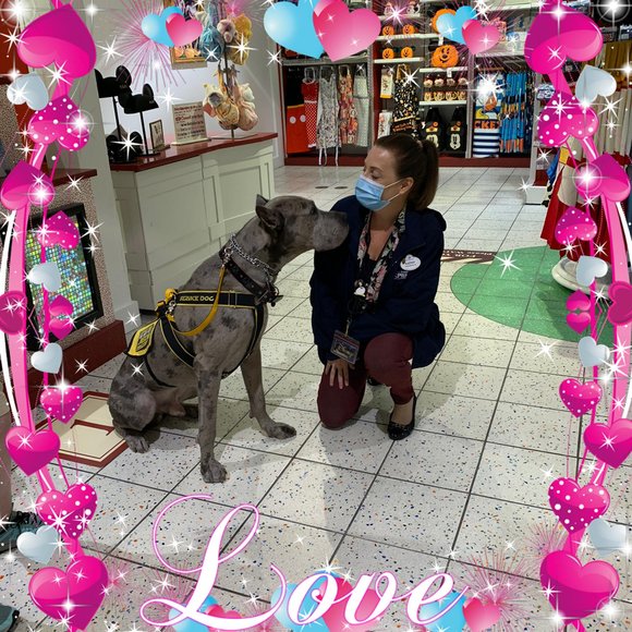 Profile Picture of Kathy Cozzette (@klefenz) on Poshmark