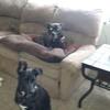 Profile Picture of jeffgwin76 (@jeffgwin76) on Tiktok