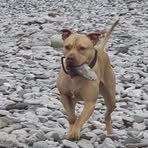 Rogue Hedley - Facebook Profile Picture of Rogue Hedley (@Rogue-Hedley) on Facebook