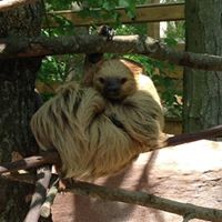 Profile Picture of Fred Studley (@fred-studley) on Quora
