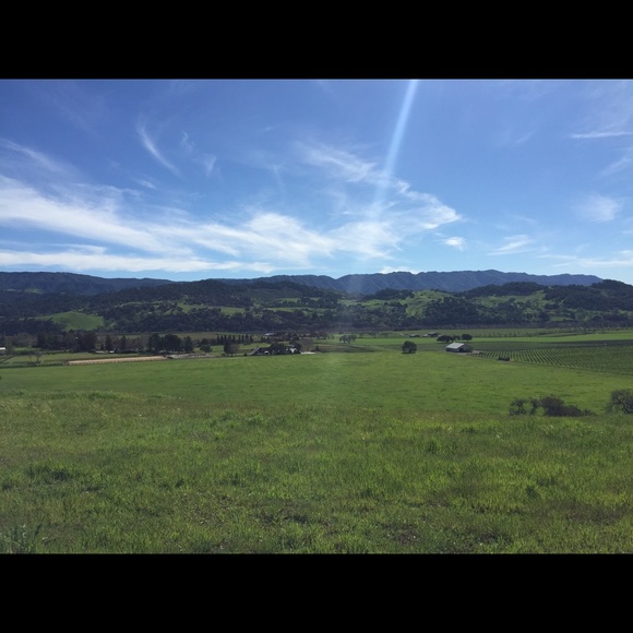 Profile Picture of Janet Wilczak (@canterlope) on Poshmark