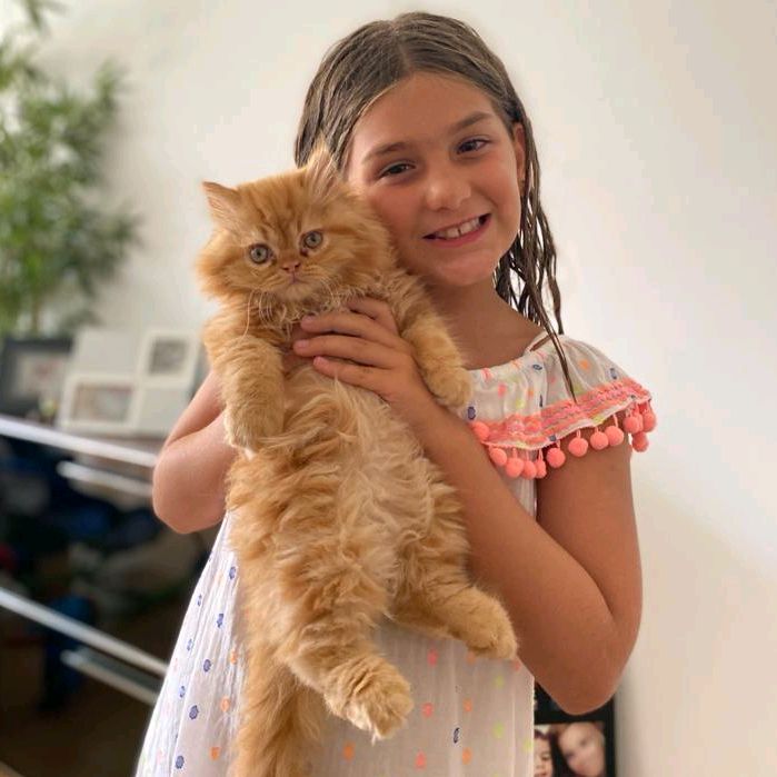 Profile Picture of Chloe Giao (@brucarchl) on Tiktok