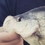 Profile Picture of Cheng Xiong (@cheng.xiong.714) on Instagram