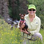 Profile Picture of Diane Swartzendruber (@Diane-Swartzendruber) on Facebook