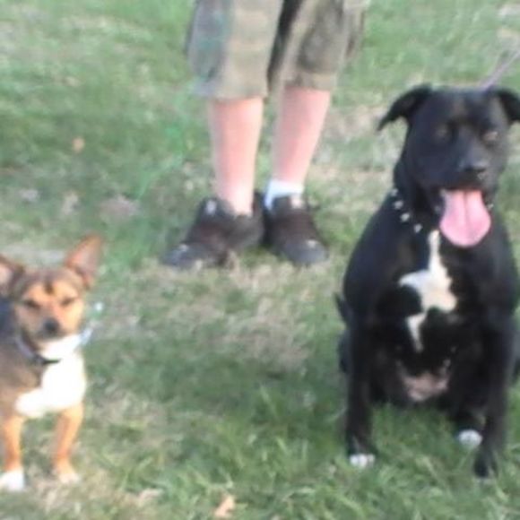 Nala Turnbaugh - Poshmark Profile Picture of Nala Turnbaugh (@nalaturnbaugh) on Poshmark