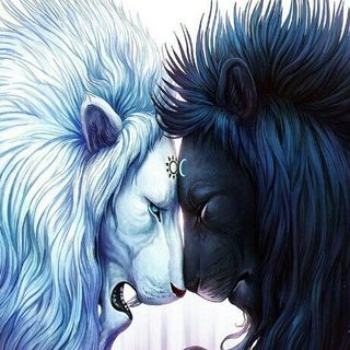 shawna renee dowdy - Instagram Profile Picture of shawna renee dowdy (@shawnarenee) on Instagram