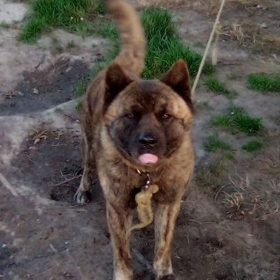 Profile Picture of Jacqueline Edwards Schroeder (@Jacquel45252404) on Twitter