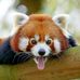 Profile Picture of Jean Thien (@Jean-Thien) on Facebook