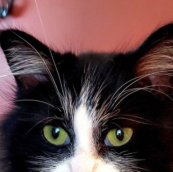 Profile Picture of Wendy Upcott (@wendyelaine78) on Poshmark