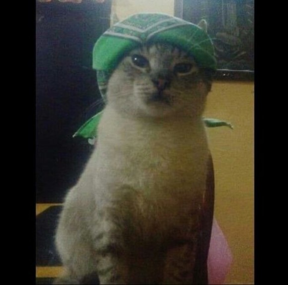 Profile Picture of Lizbeth Basurto (@lizbetbasurto) on Poshmark