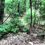 Profile Picture of David Horace (@loudmannewc) on Instagram