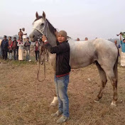 Profile Picture of Sunju Horse Farm (@sunjuhorsefarm8504) on Youtube