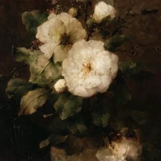 alex_spinola - Instagram Profile Picture of alex_spinola (@alex_spinola) on Instagram