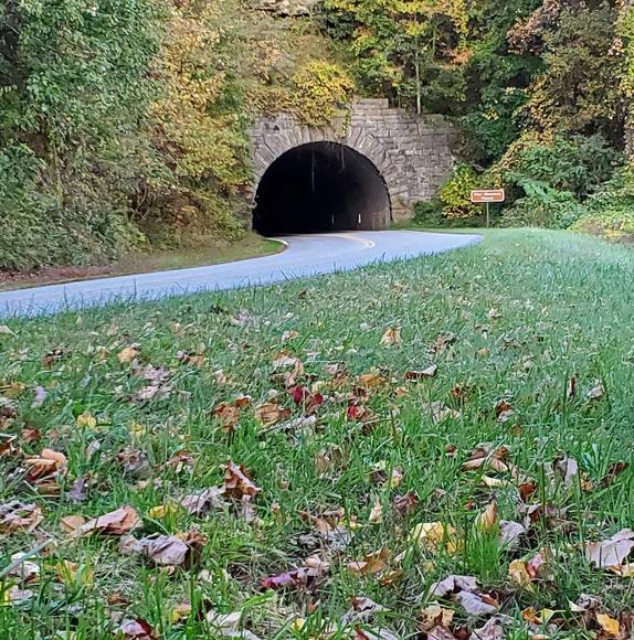 Profile Picture of Pernee Tesner (@perneet) on Poshmark