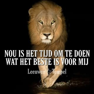 Profile Picture of Edwin Schulte (@schulteedwin) on Instagram