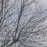 Profile Picture of Steve.wray (@steve.wray9297) on Instagram